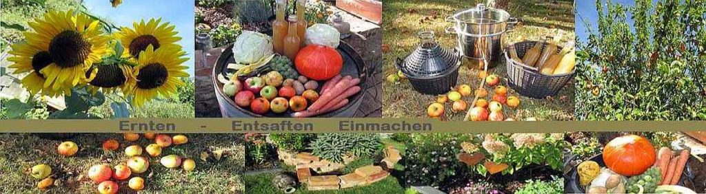 Das Geschirrlädchen